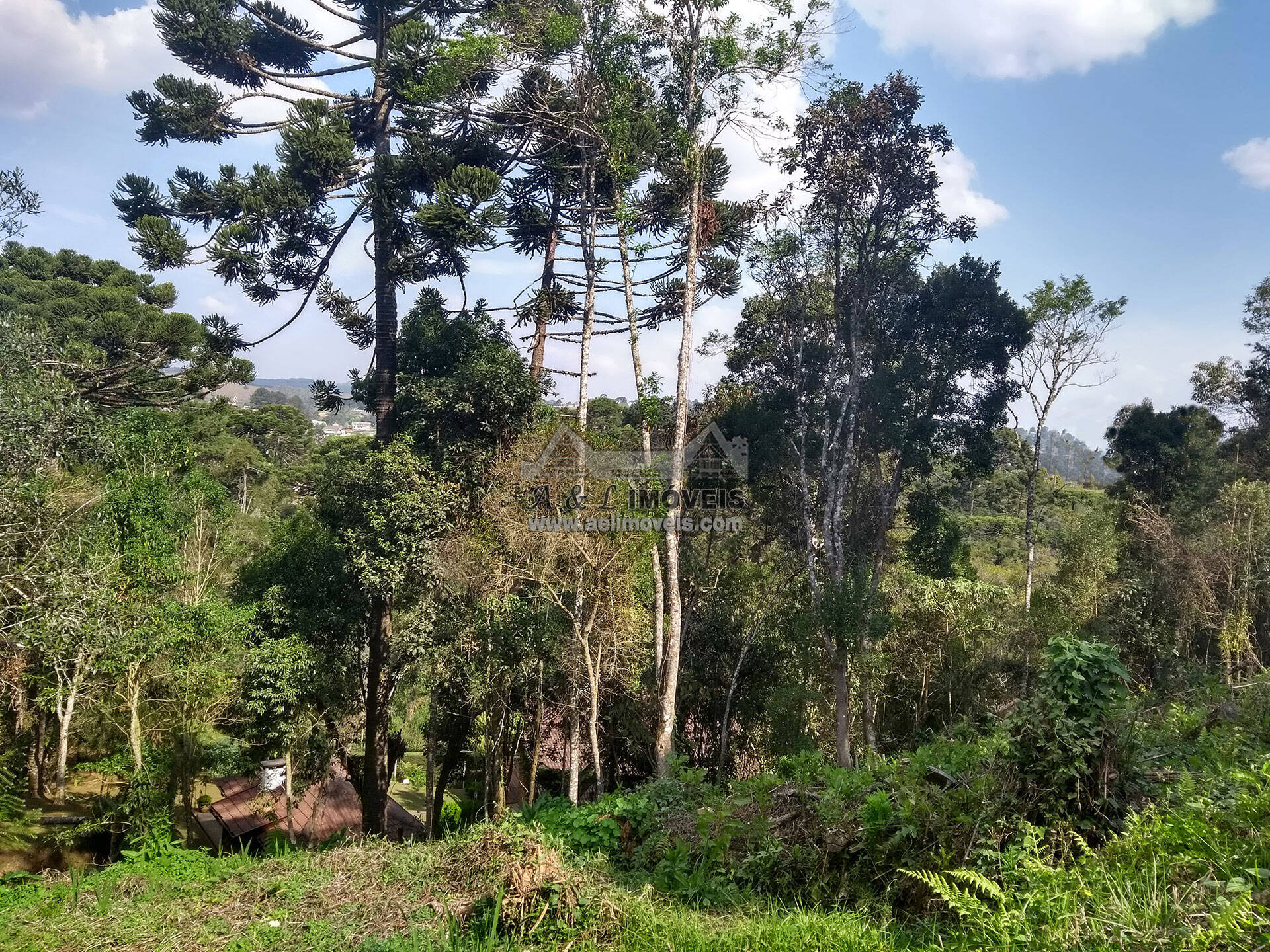 Terreno à venda, 1300m² - Foto 4