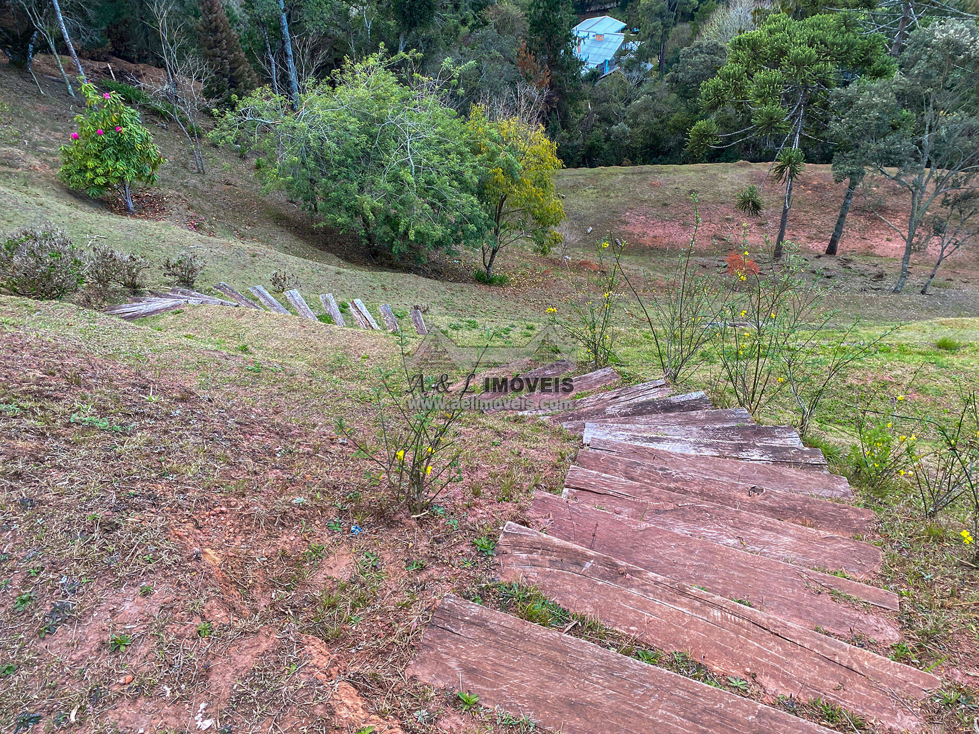 Terreno à venda, 6111m² - Foto 6