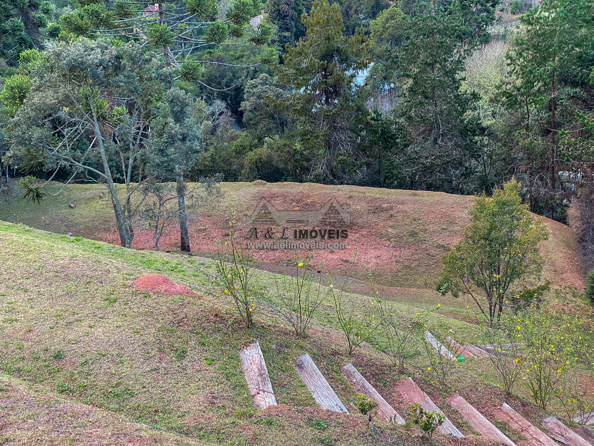 Terreno à venda, 6111m² - Foto 9