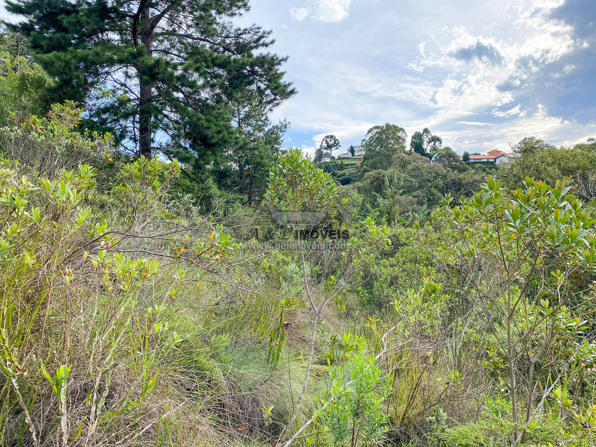 Terreno à venda, 1180m² - Foto 3