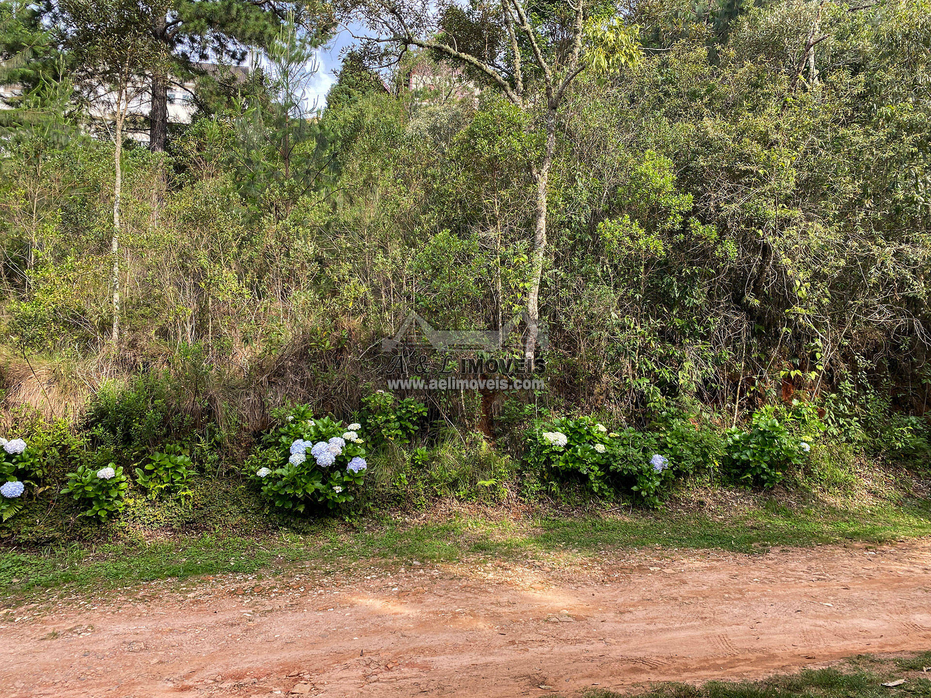 Terreno à venda, 1180m² - Foto 4