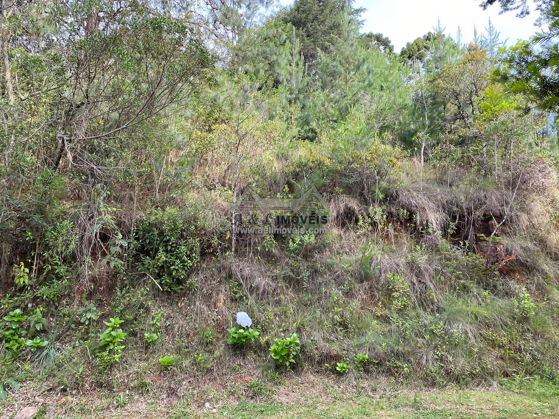 Terreno à venda, 1180m² - Foto 5