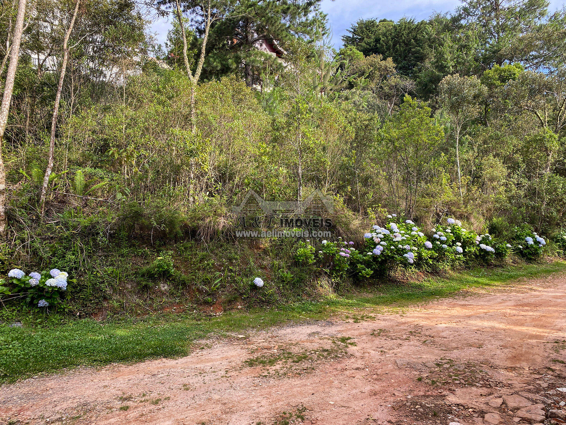 Terreno à venda, 1180m² - Foto 7