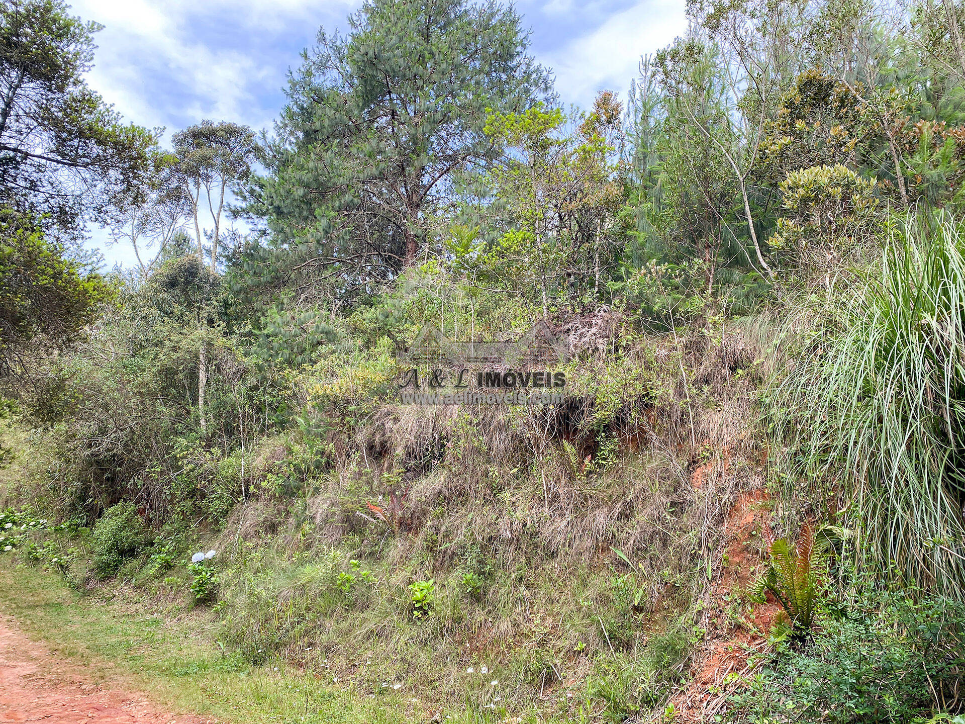 Terreno à venda, 1180m² - Foto 11