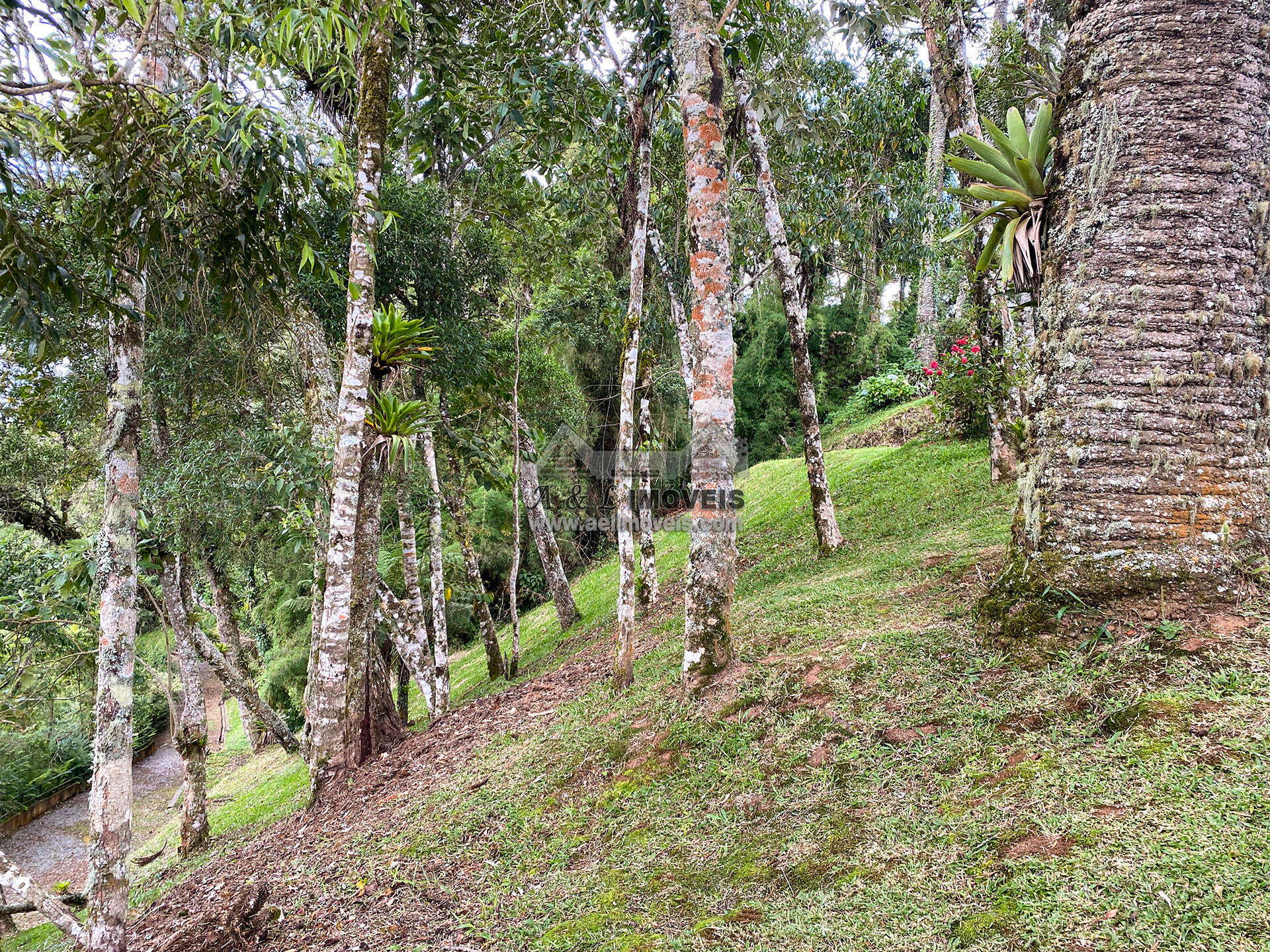 Terreno à venda, 1112m² - Foto 14