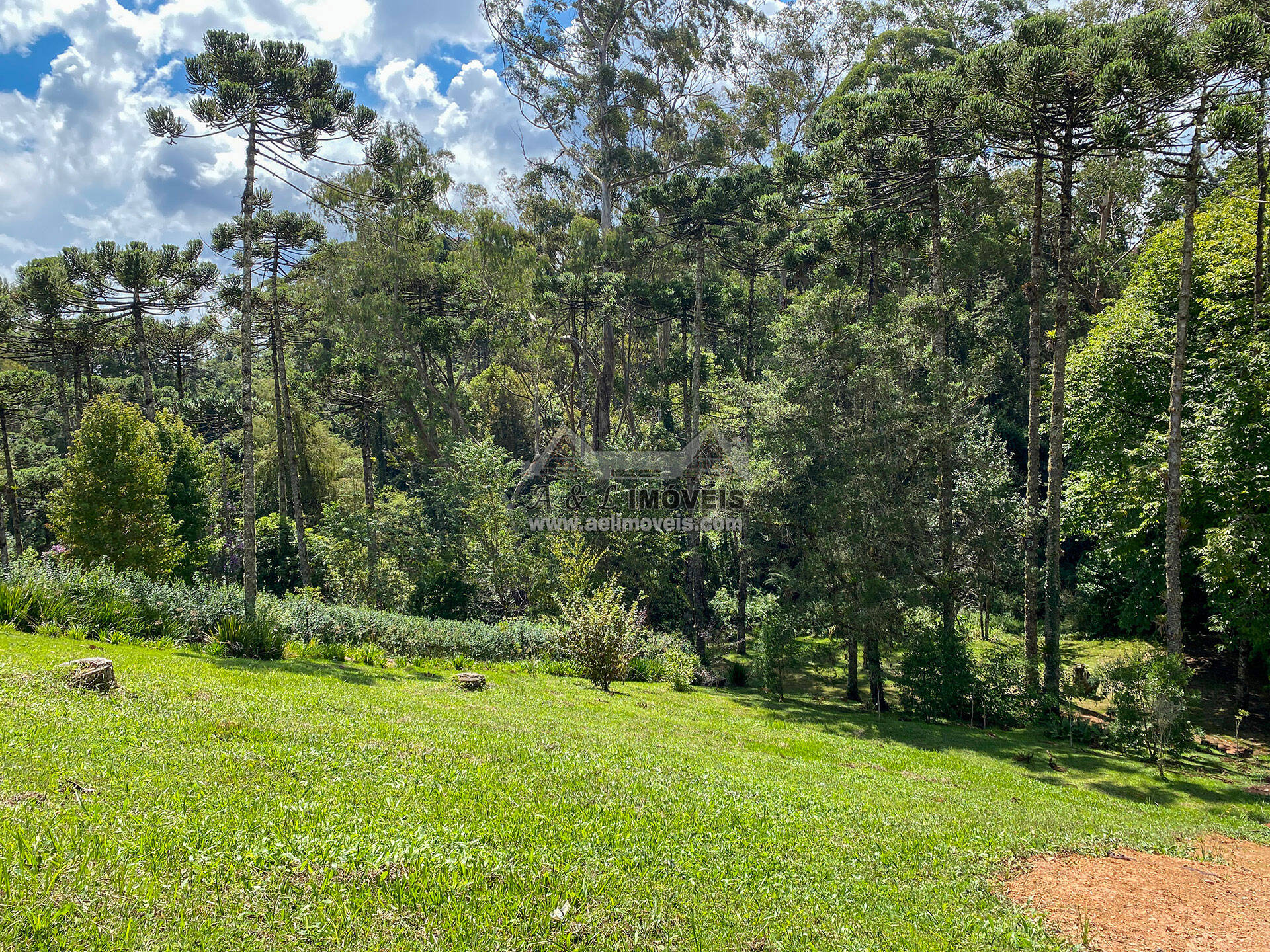 Terreno à venda, 1302m² - Foto 2