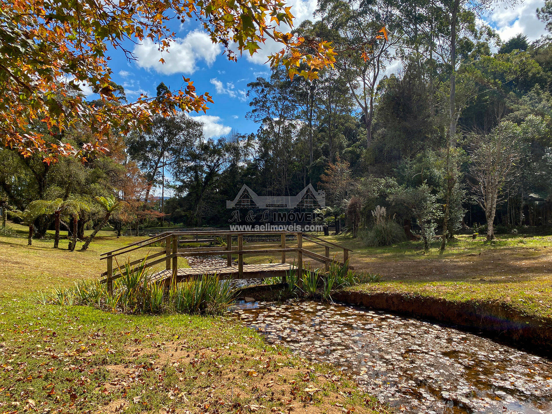 Terreno à venda, 1302m² - Foto 13