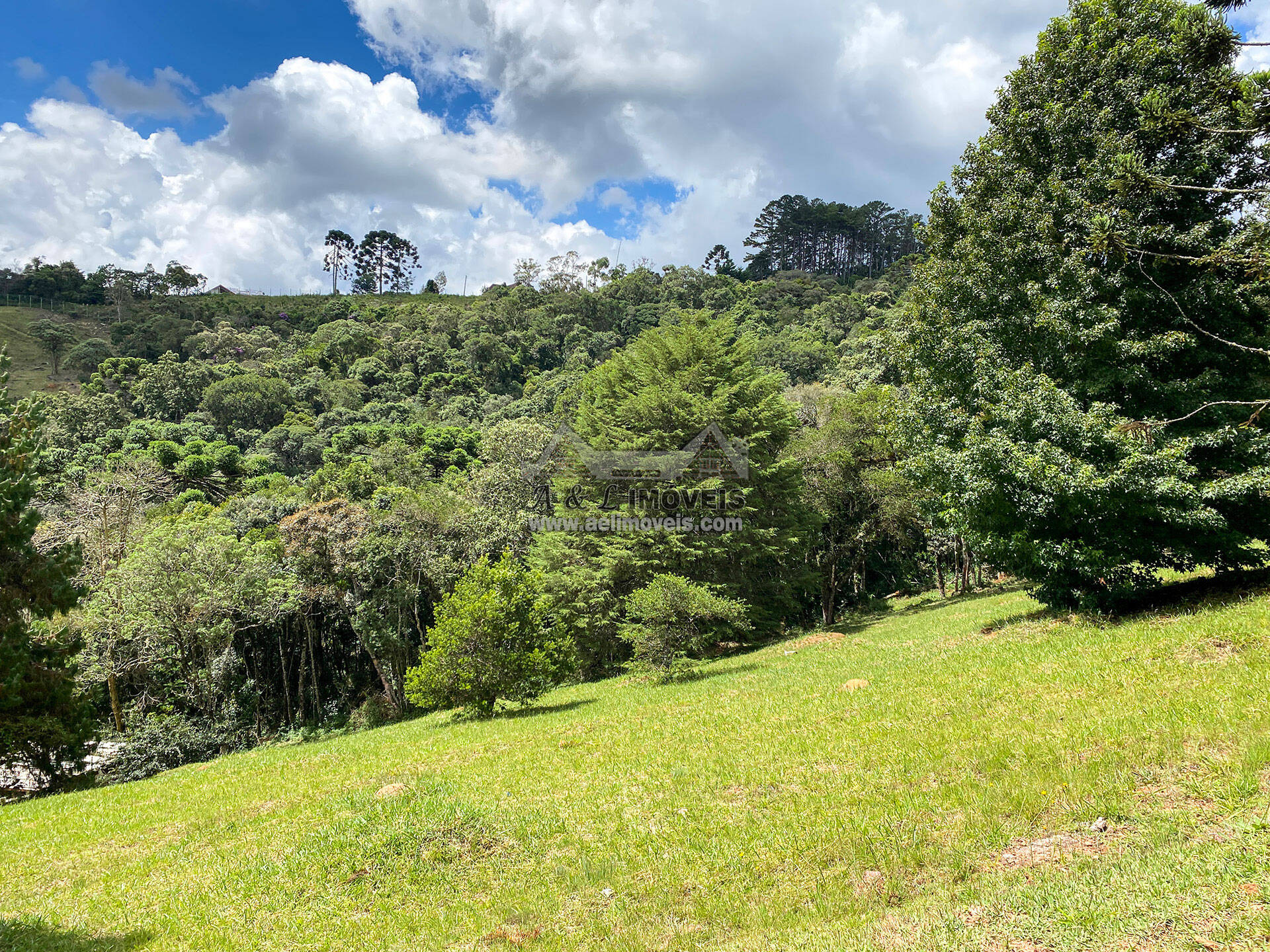 Terreno à venda, 1111m² - Foto 3