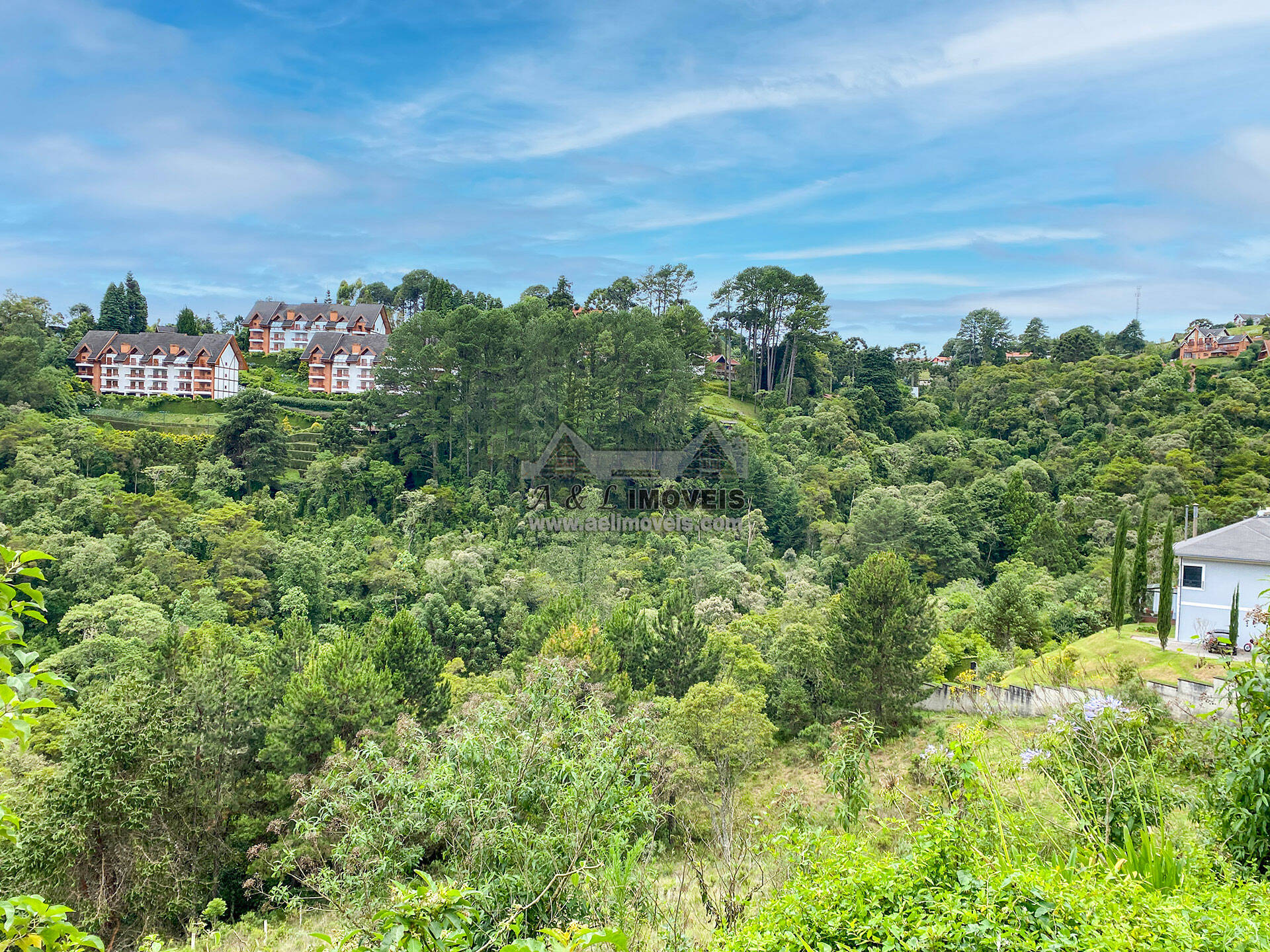 Terreno à venda, 2517m² - Foto 5