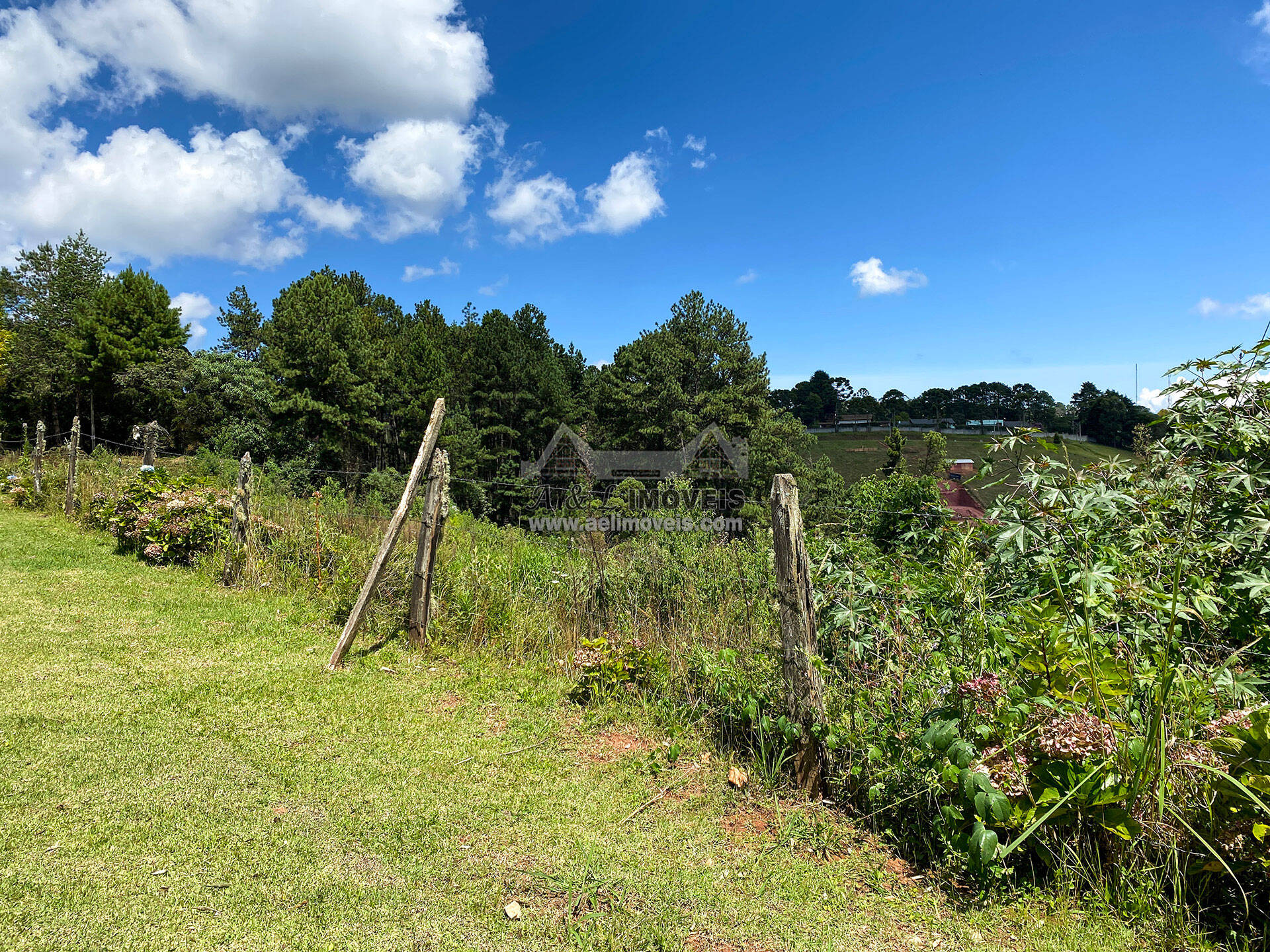 Terreno à venda, 1600m² - Foto 5