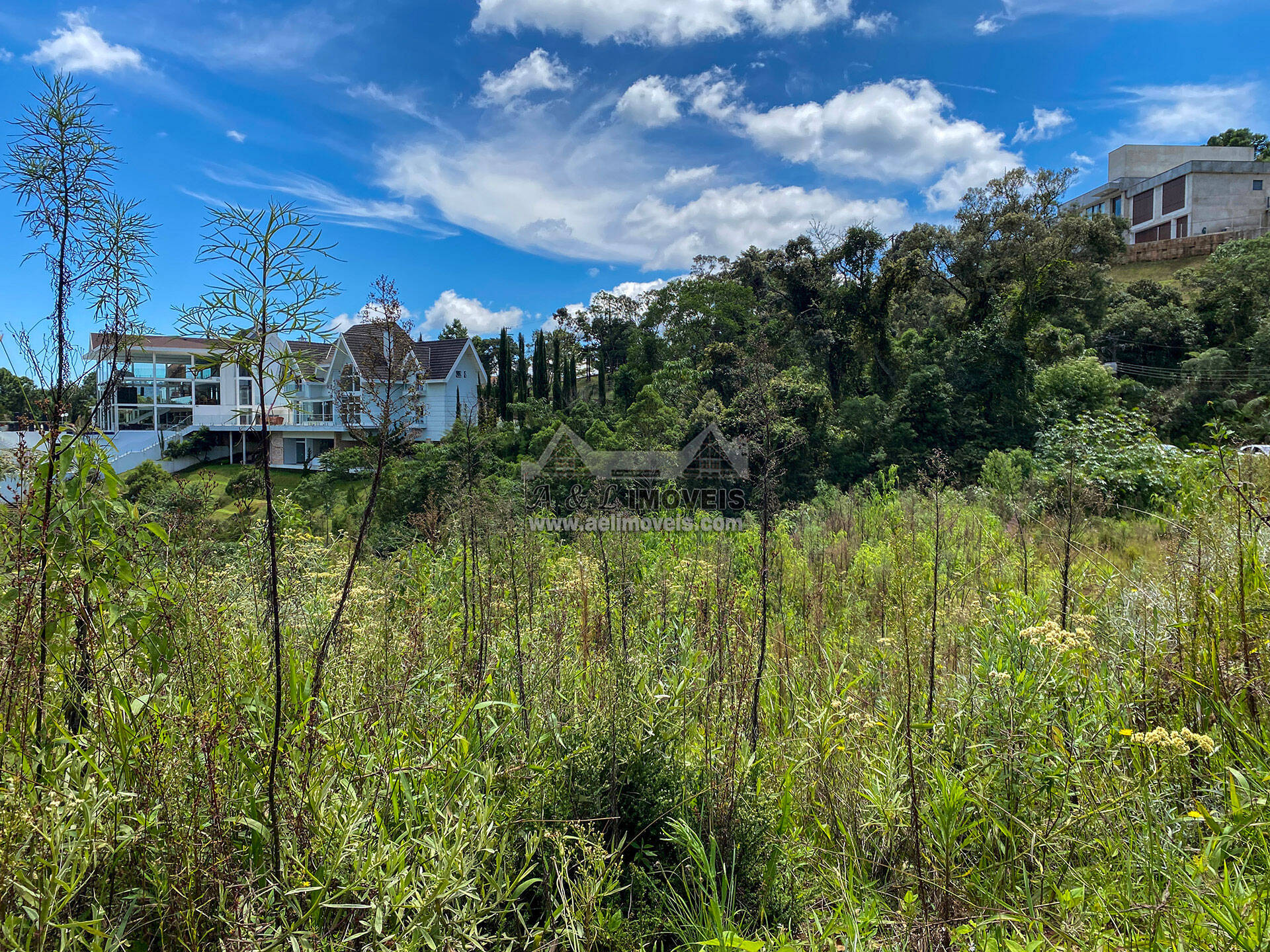 Terreno à venda, 1600m² - Foto 7