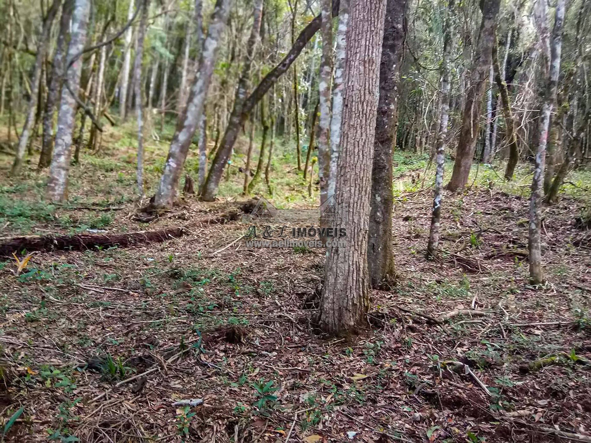 Terreno à venda, 1940m² - Foto 2