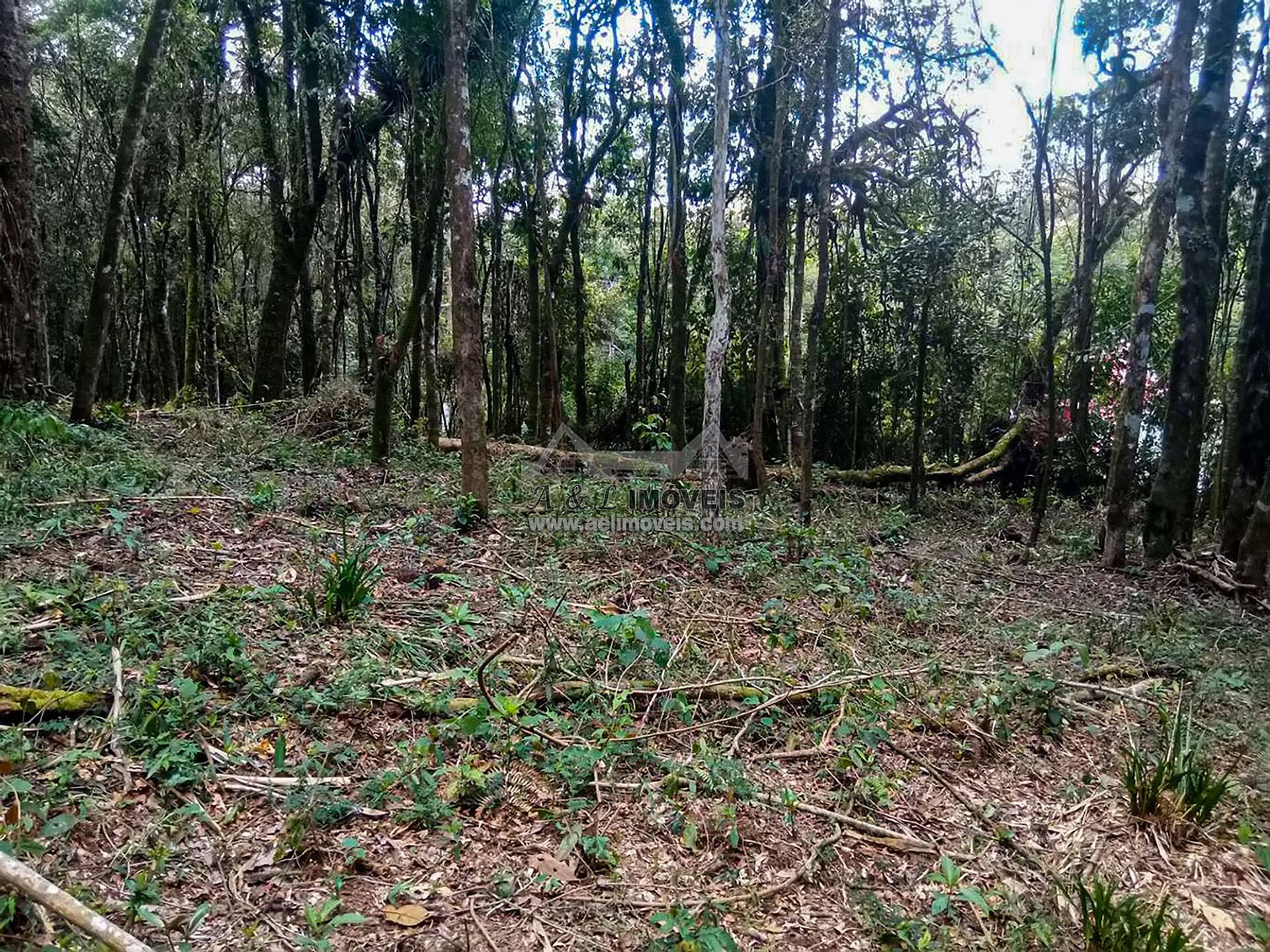 Terreno à venda, 1940m² - Foto 4