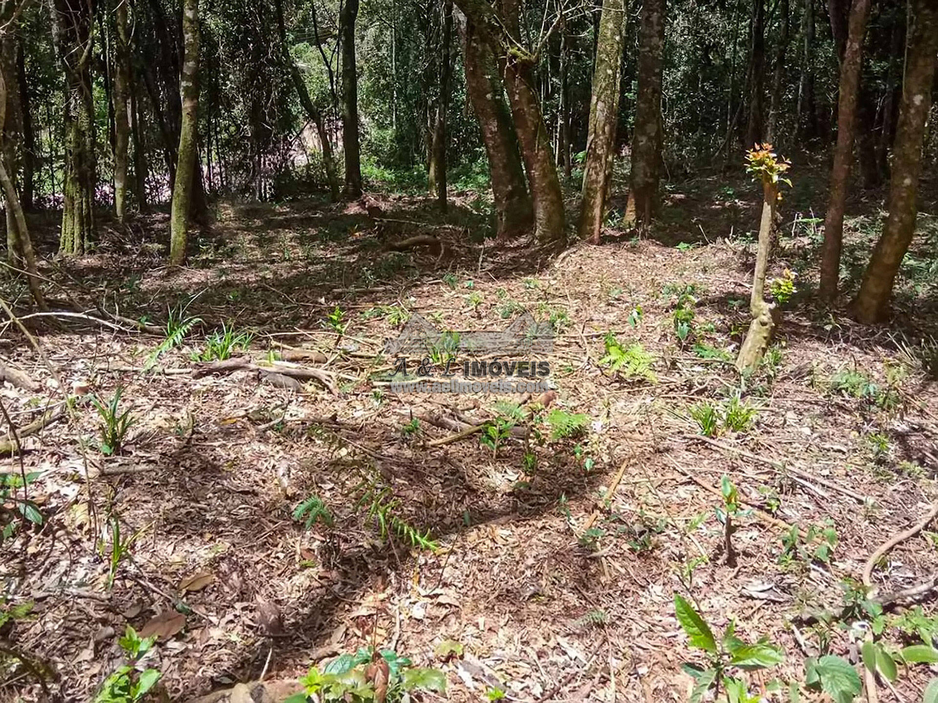 Terreno à venda, 1940m² - Foto 5