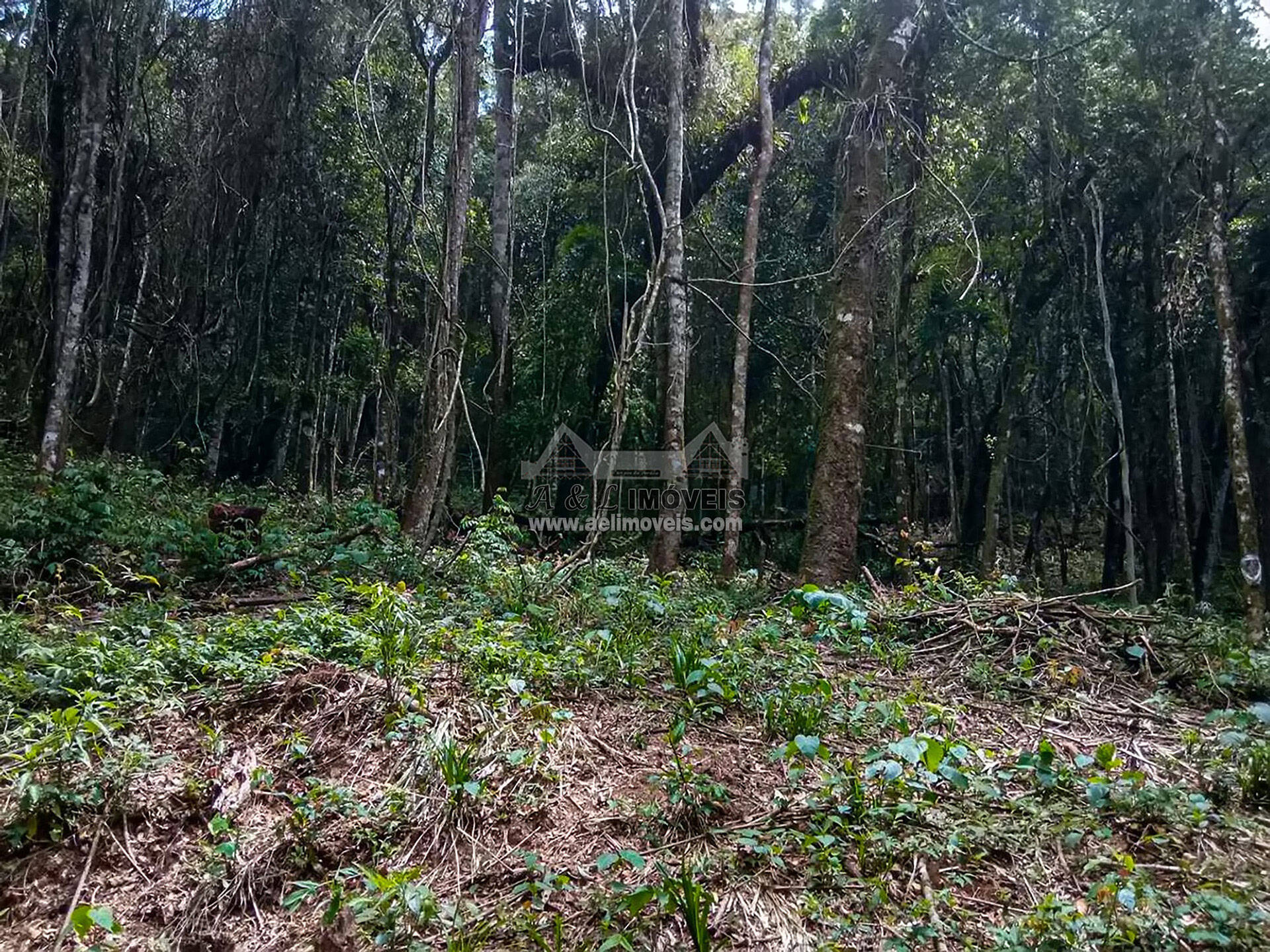 Terreno à venda, 1940m² - Foto 6