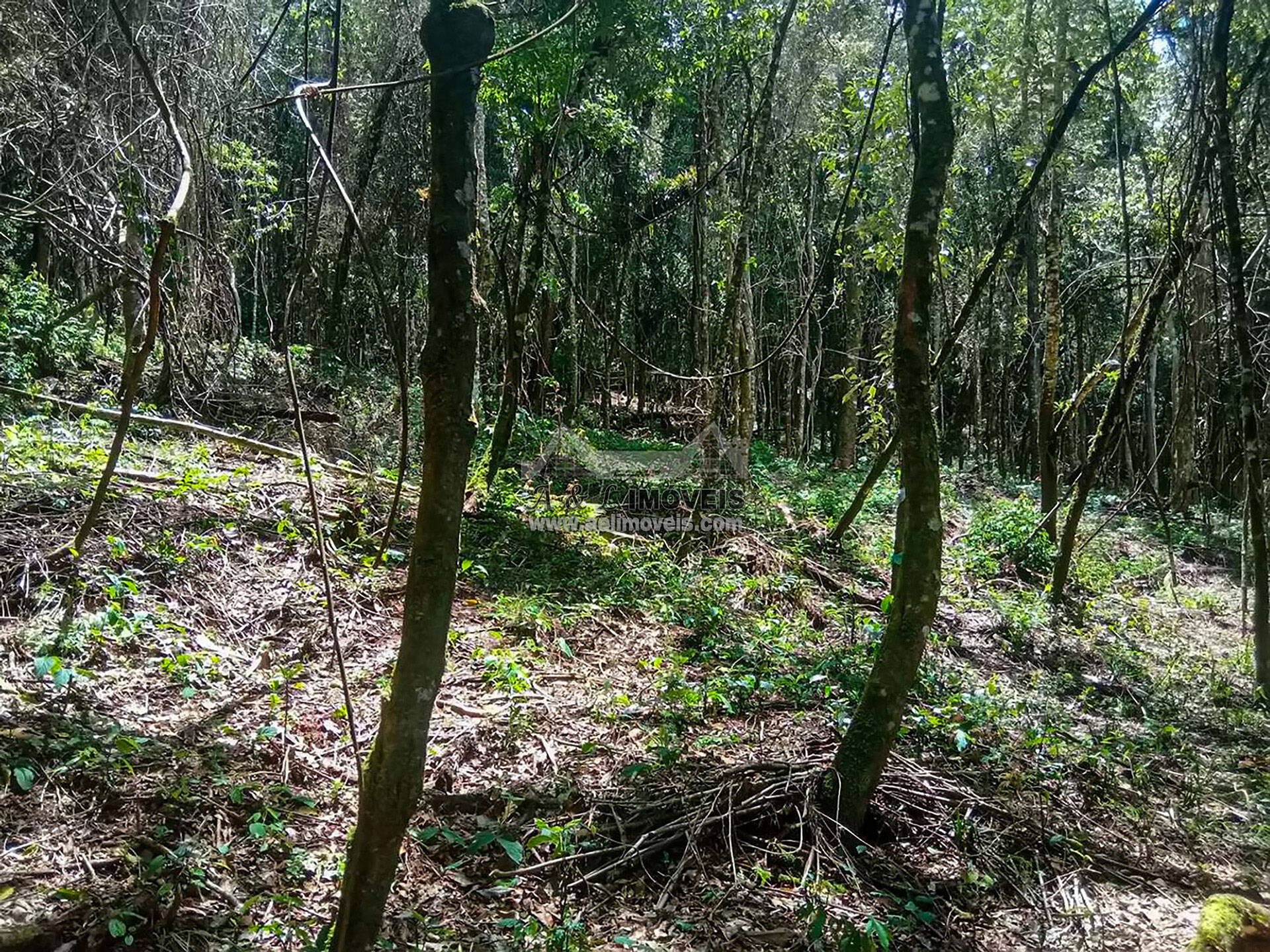 Terreno à venda, 1940m² - Foto 7