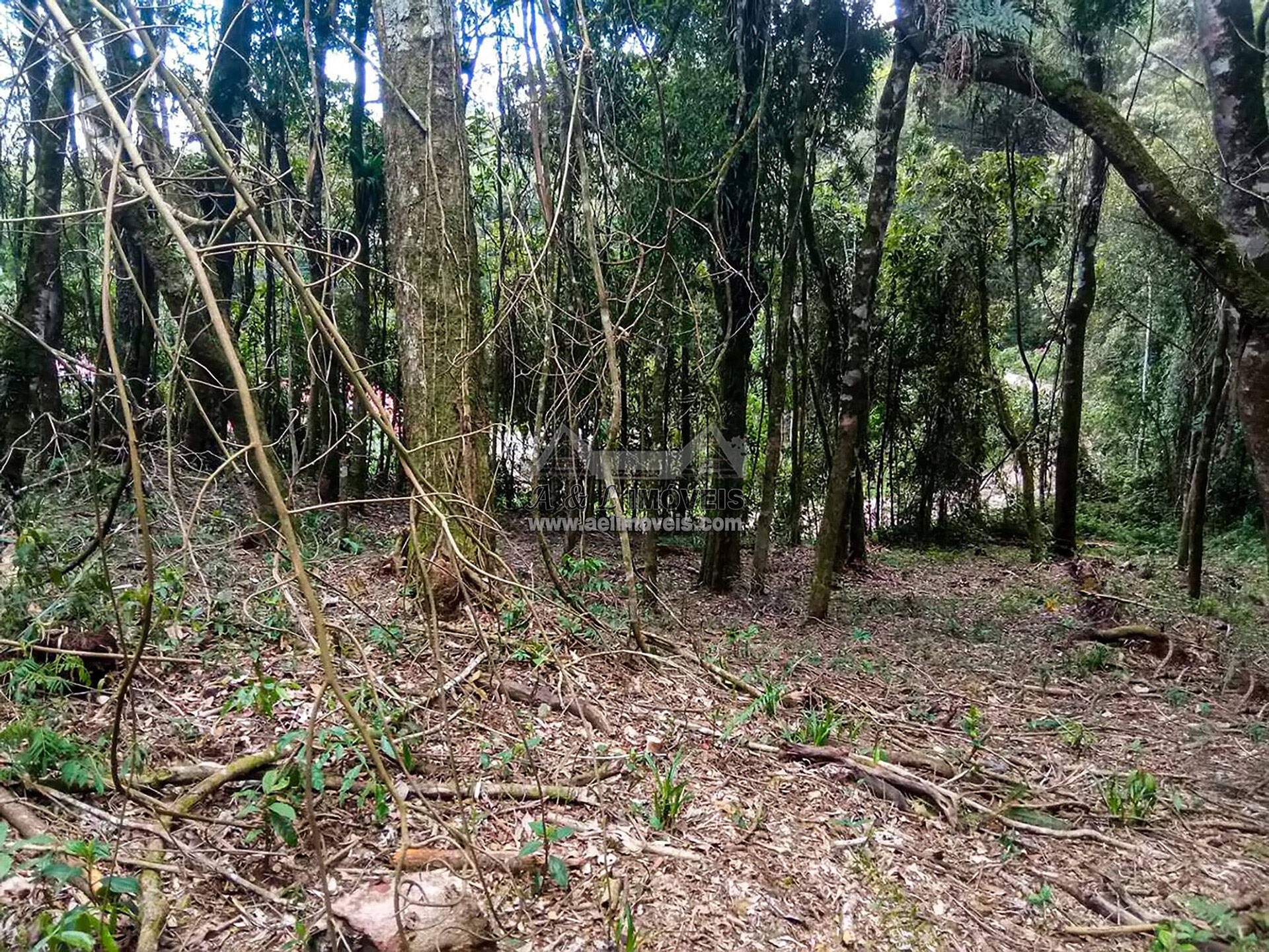 Terreno à venda, 1940m² - Foto 8