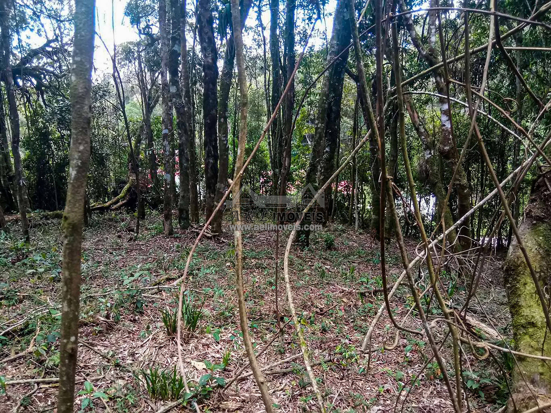 Terreno à venda, 1940m² - Foto 9