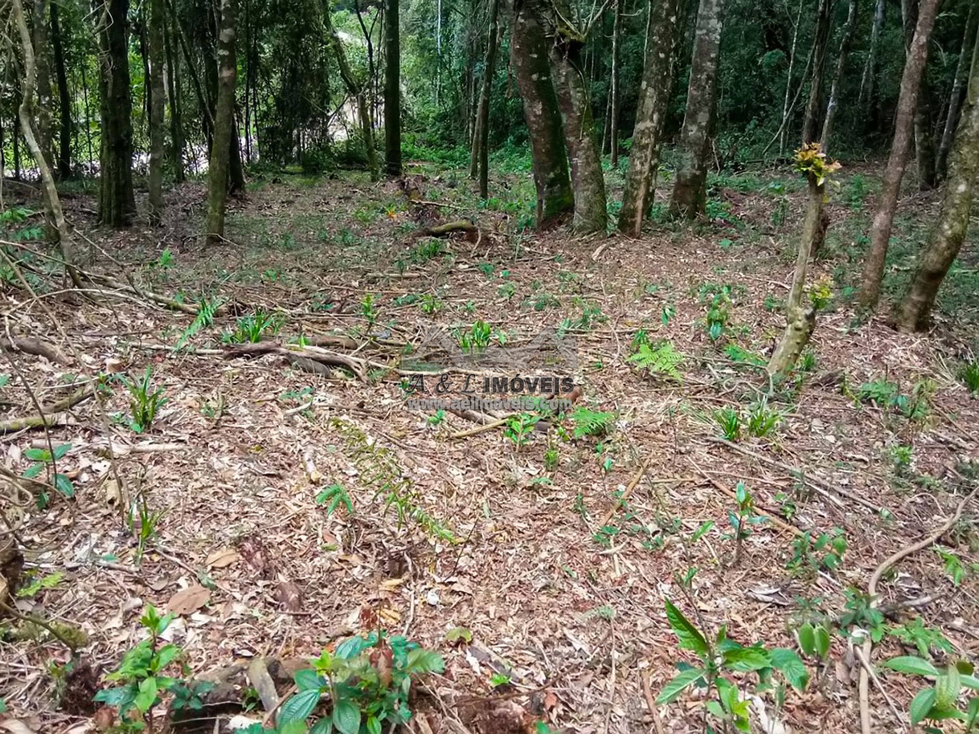 Terreno à venda, 1940m² - Foto 11