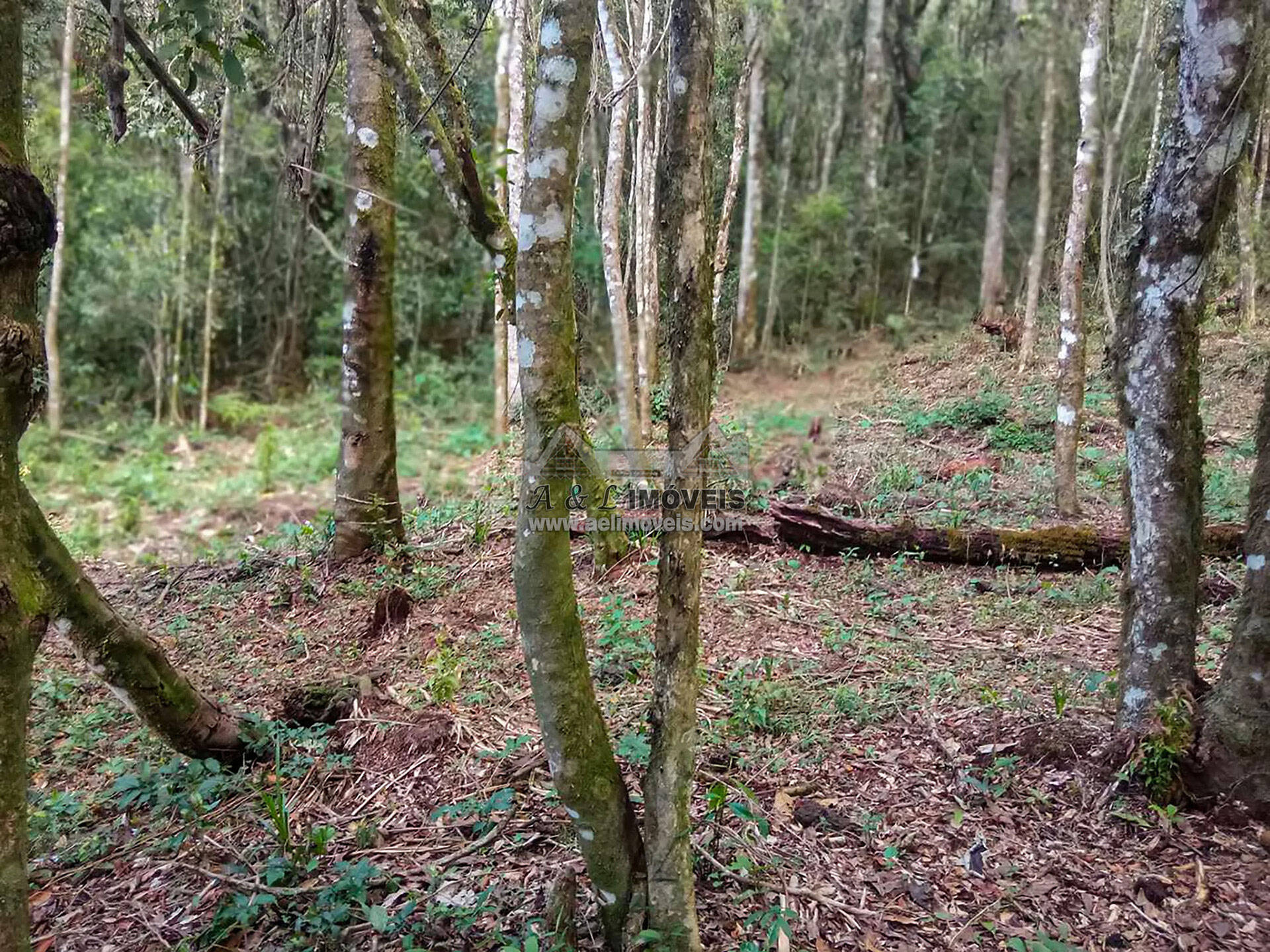 Terreno à venda, 1940m² - Foto 12