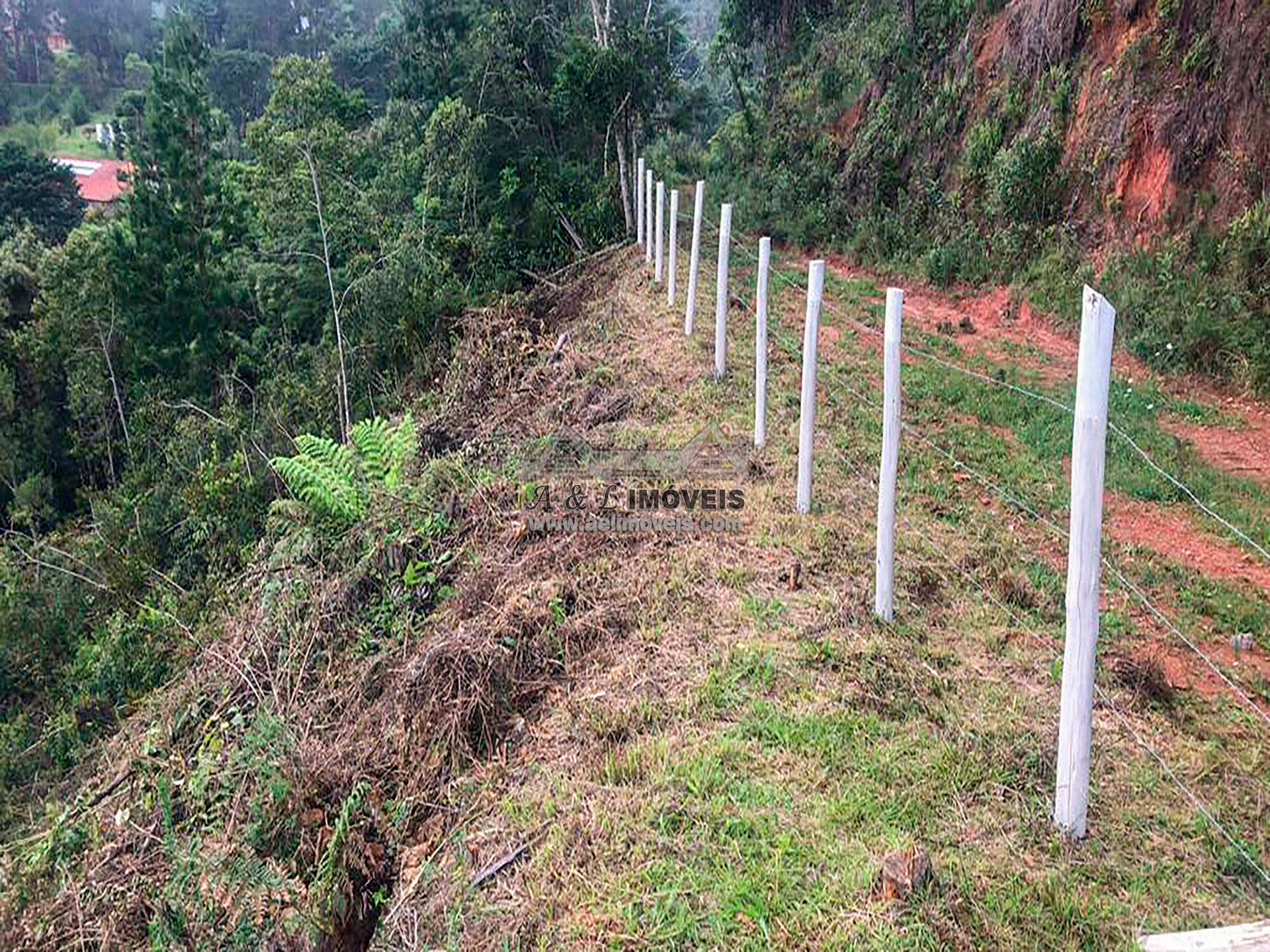 Terreno à venda, 4010m² - Foto 6