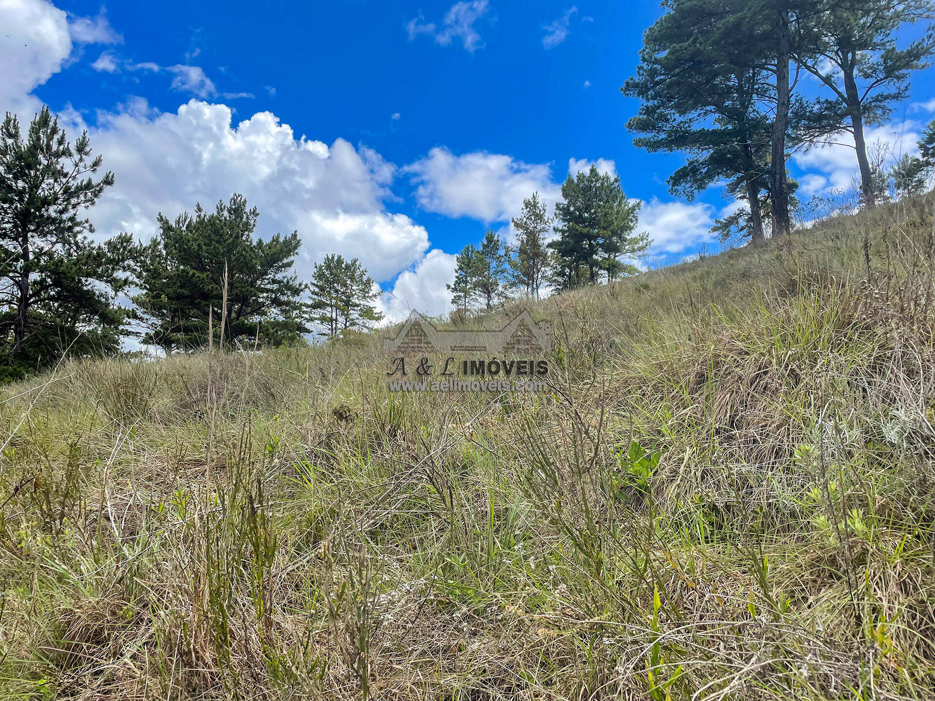 Terreno à venda, 7941m² - Foto 3