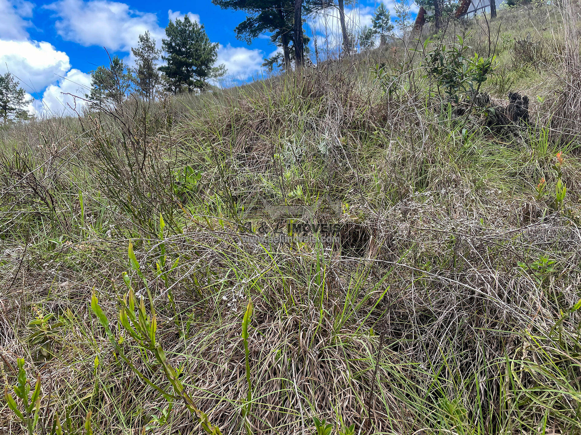 Terreno à venda, 7941m² - Foto 4