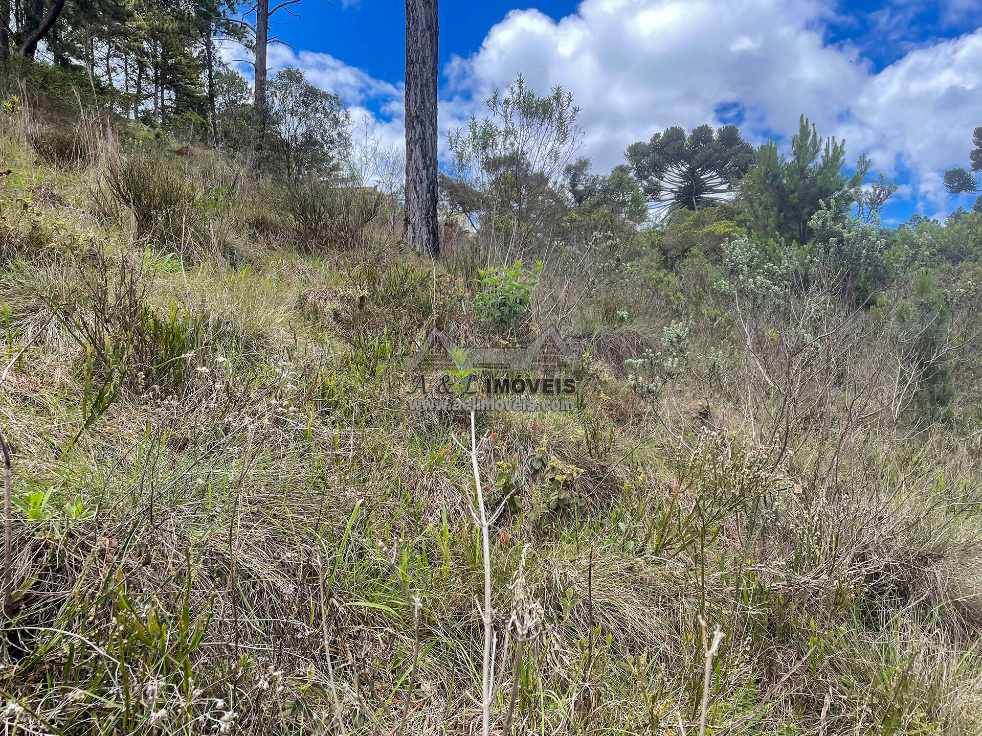 Terreno à venda, 7941m² - Foto 5