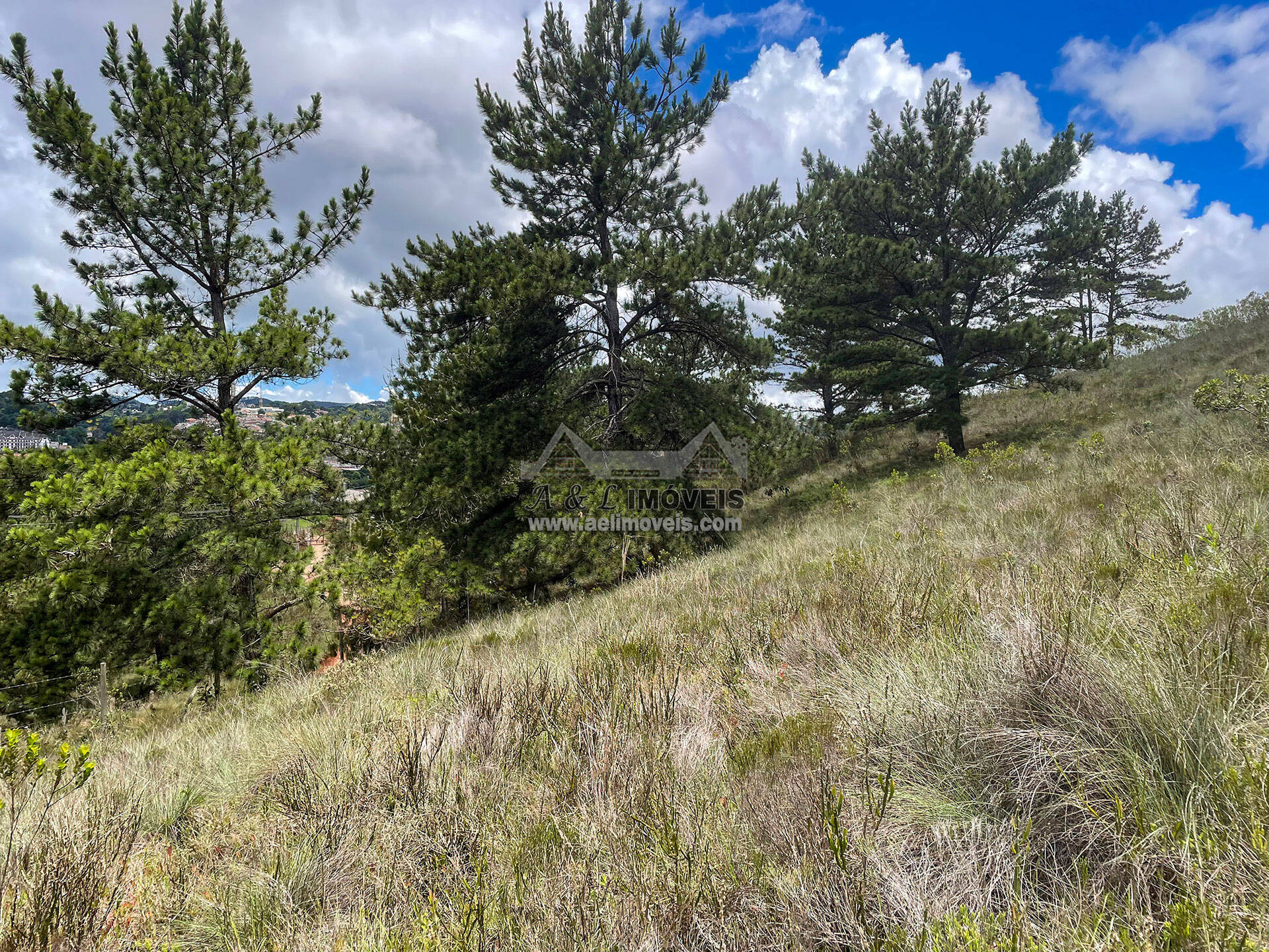 Terreno à venda, 7941m² - Foto 7