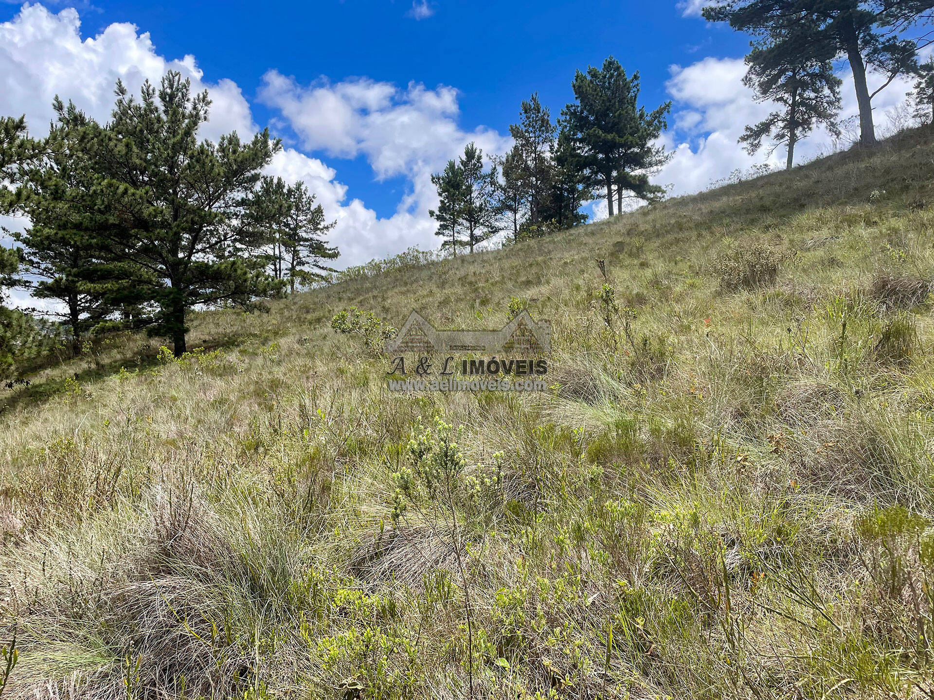 Terreno à venda, 7941m² - Foto 9