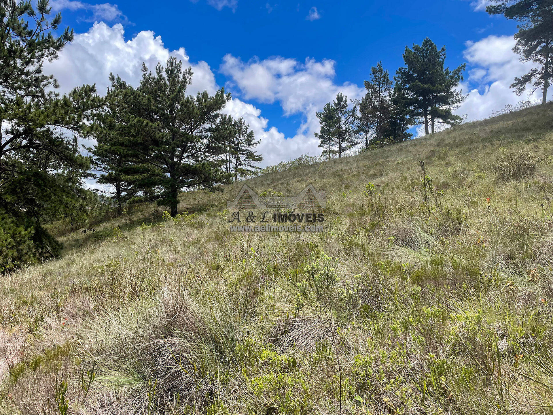 Terreno à venda, 7941m² - Foto 8