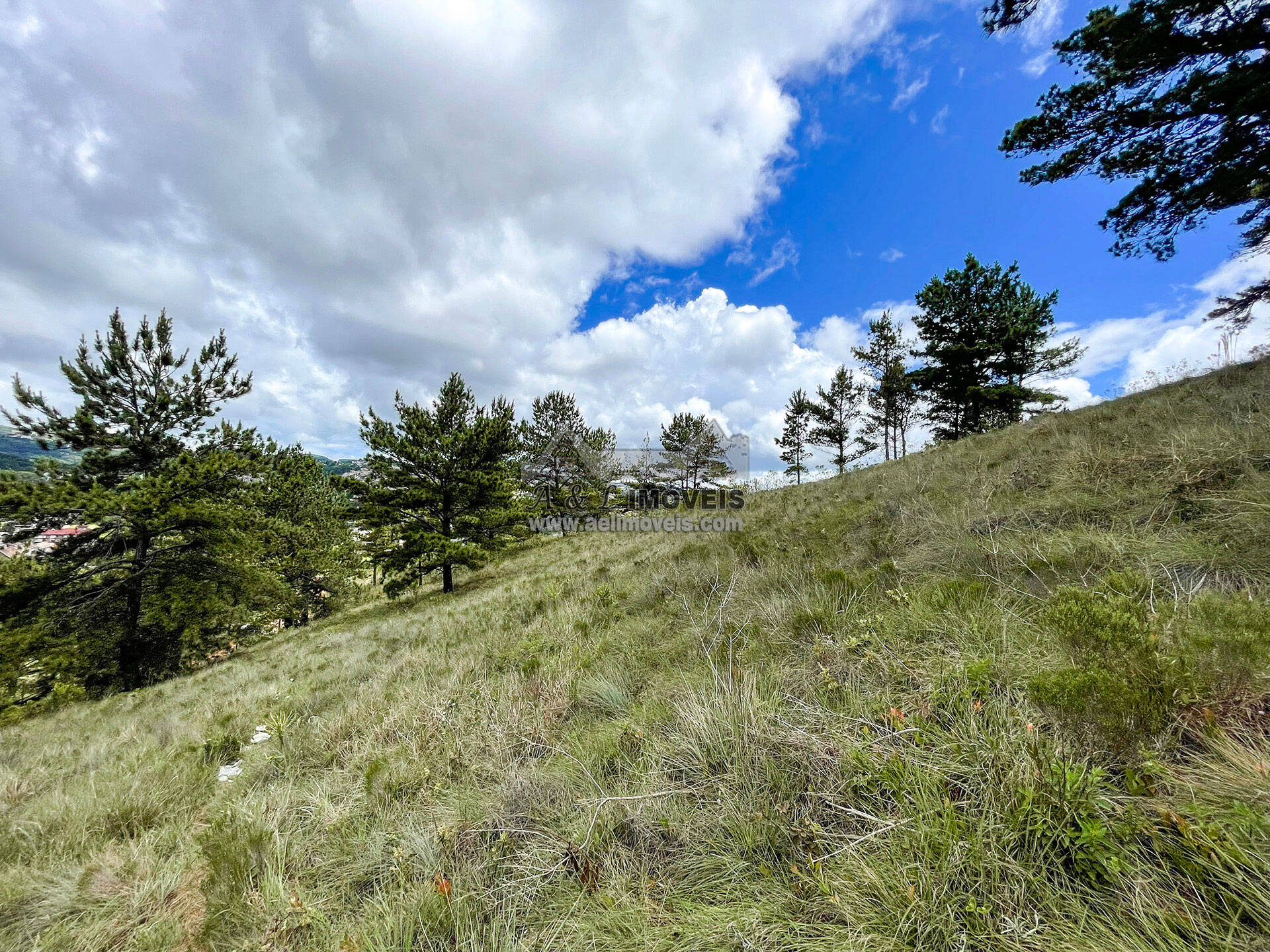 Terreno à venda, 7941m² - Foto 13