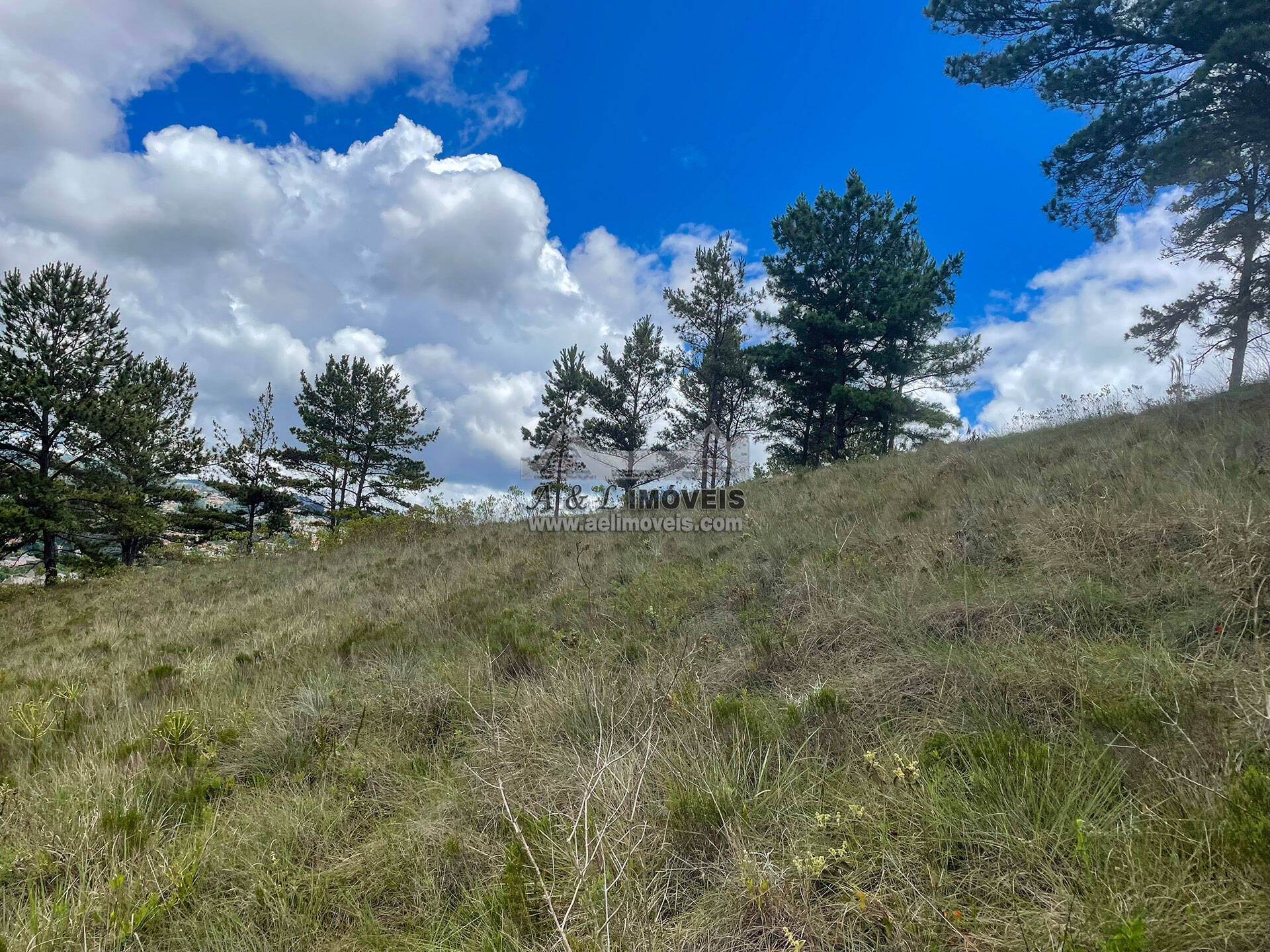 Terreno à venda, 7941m² - Foto 19