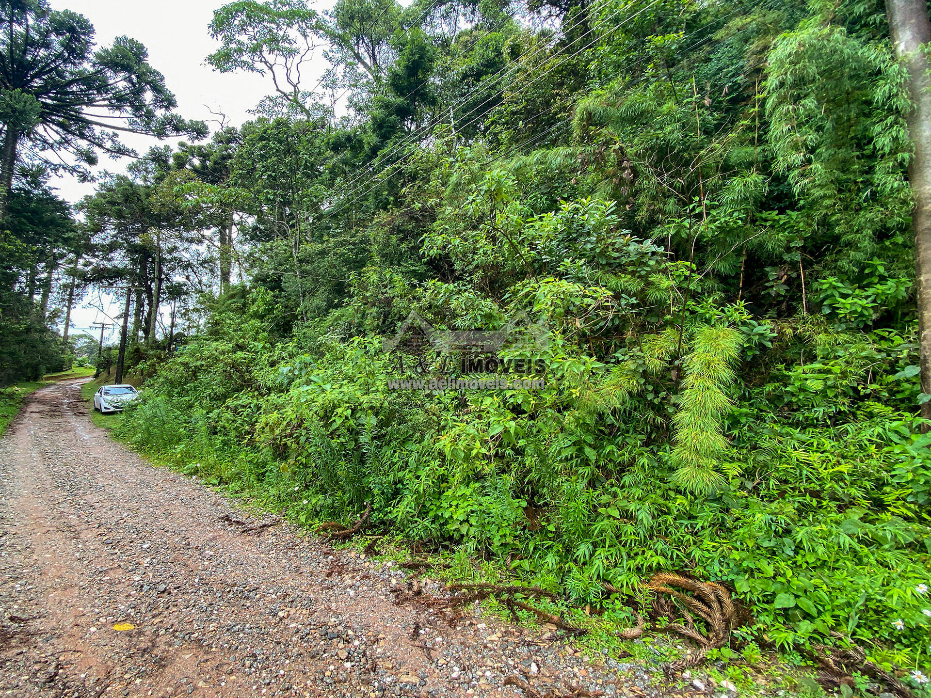 Terreno à venda, 1200m² - Foto 4