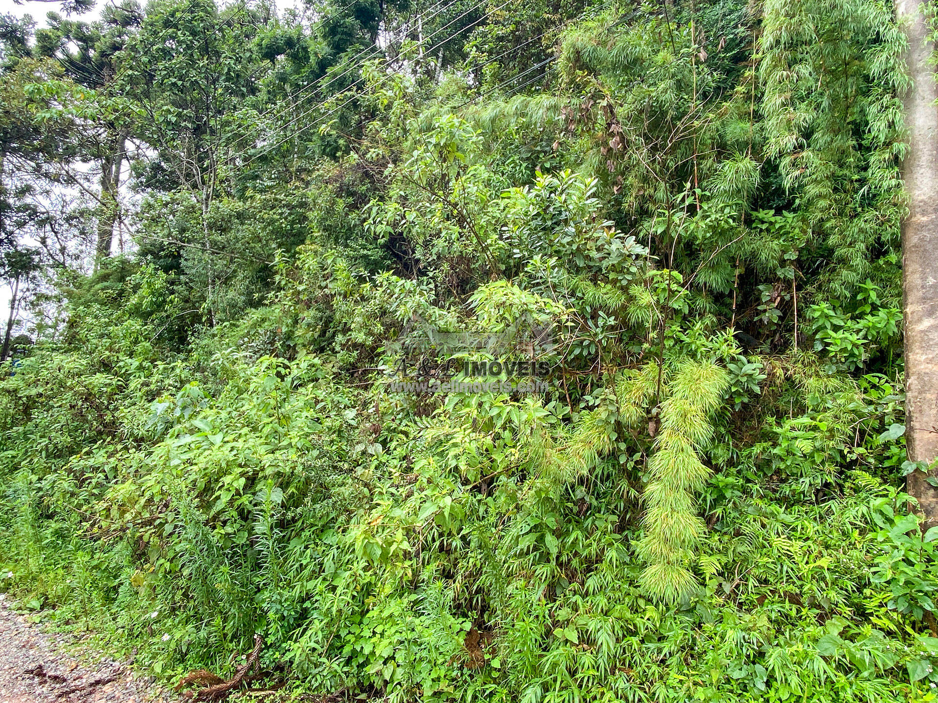 Terreno à venda, 1200m² - Foto 5