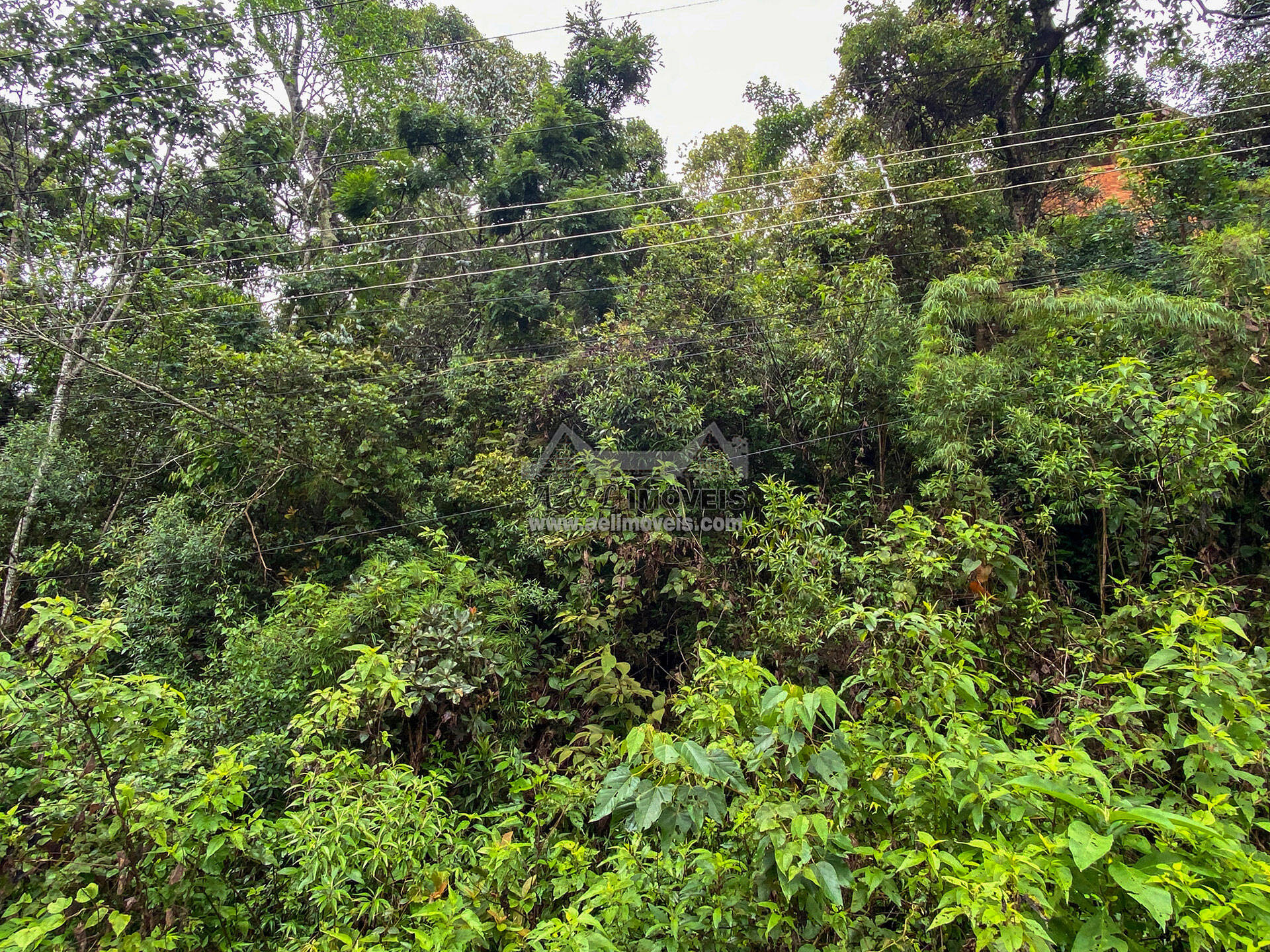 Terreno à venda, 1200m² - Foto 8