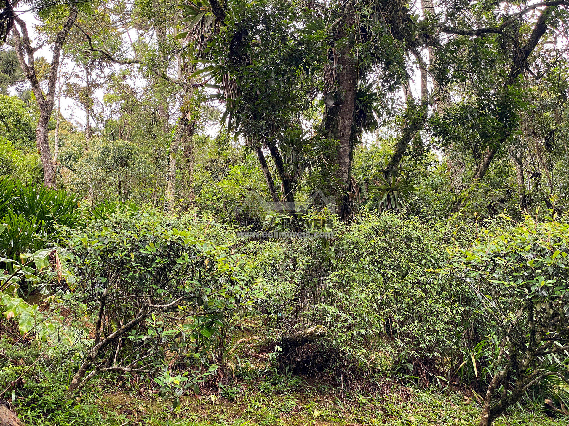 Terreno à venda, 1200m² - Foto 9