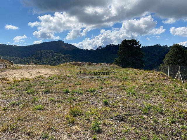 #38 - Terreno para Venda em Campos do Jordão - SP - 2