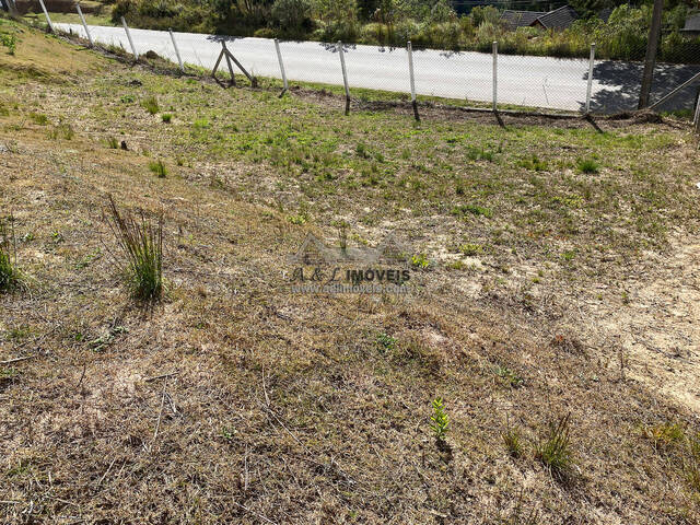 #38 - Terreno para Venda em Campos do Jordão - SP - 3