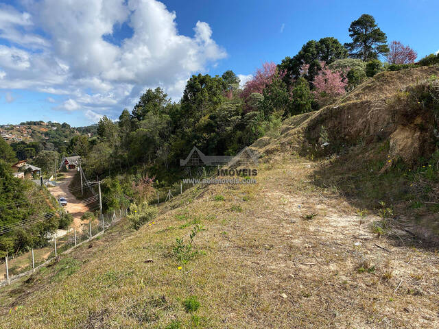 #40 - Terreno para Venda em Campos do Jordão - SP - 1