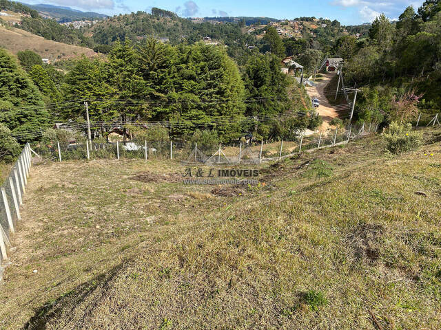 #40 - Terreno para Venda em Campos do Jordão - SP - 2