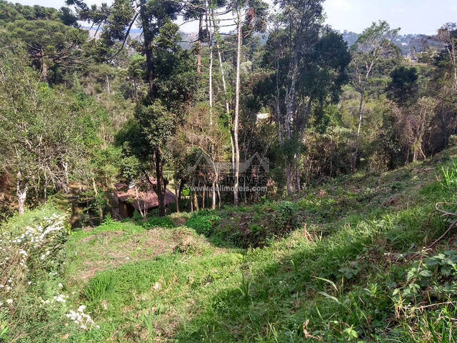 #53 - Terreno para Venda em Campos do Jordão - SP - 2