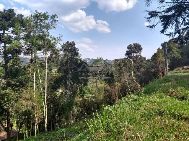 #53 - Terreno para Venda em Campos do Jordão - SP - 1