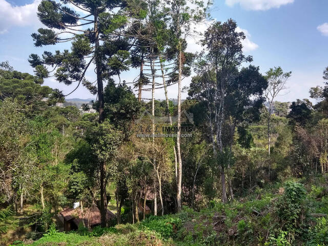 #53 - Terreno para Venda em Campos do Jordão - SP - 3