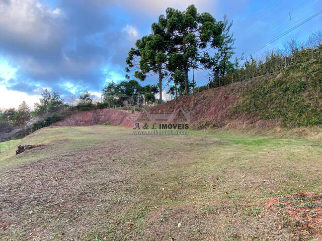 #100 - Terreno para Venda em Campos do Jordão - SP - 1