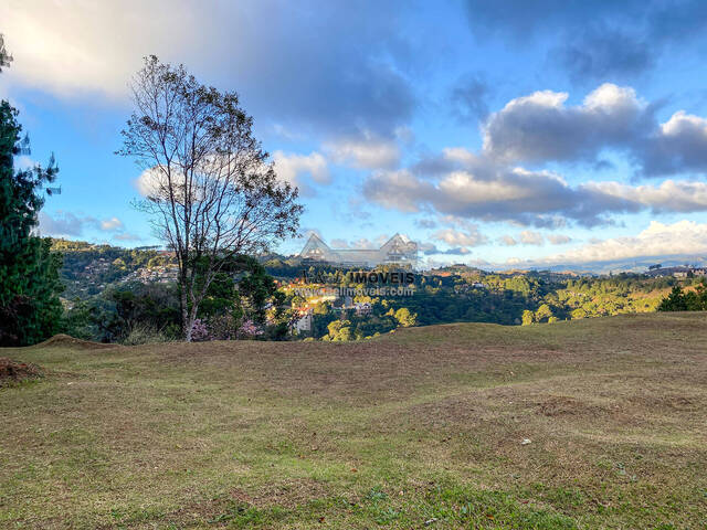 #100 - Terreno para Venda em Campos do Jordão - SP - 3