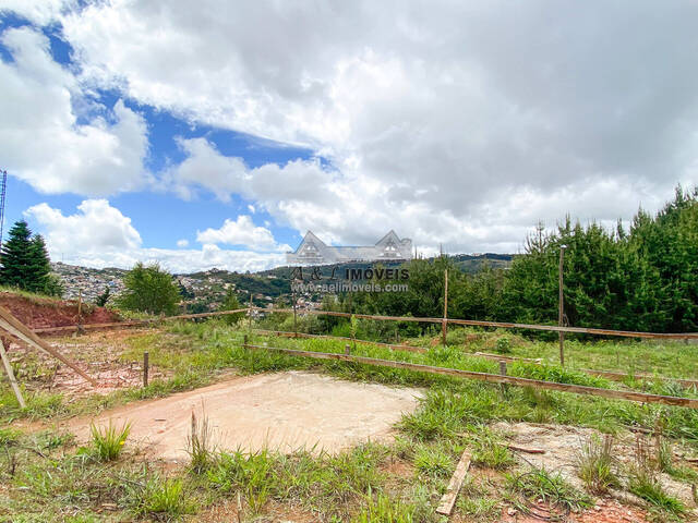 #109 - Terreno para Venda em Campos do Jordão - SP - 3