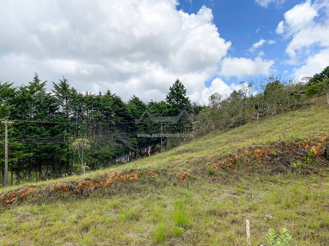 #176 - Terreno para Venda em Campos do Jordão - SP - 3