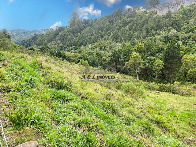 #188 - Terreno para Venda em Campos do Jordão - SP - 2