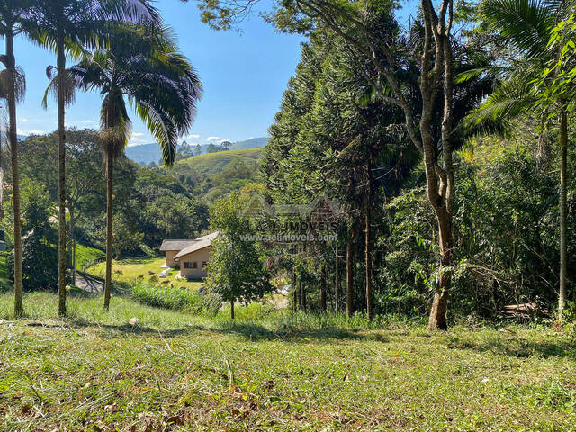 #247 - Terreno em condomínio para Venda em Santo Antônio do Pinhal - SP - 2